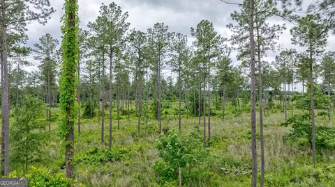 0 Mcwhorter Rd, Stephens, GA 30667 photo 7
