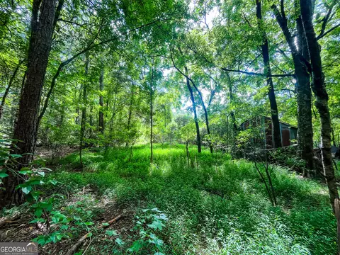 0 W Point Rd, Lagrange, GA 30240 photo 15