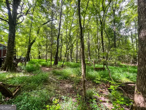 0 W Point Rd, Lagrange, GA 30240 photo 16