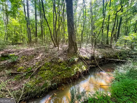 0 W Point Rd, Lagrange, GA 30240 photo 29