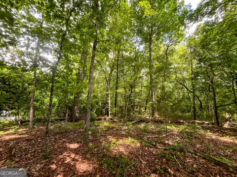 0 W Point Rd, Lagrange, GA 30240 photo 13