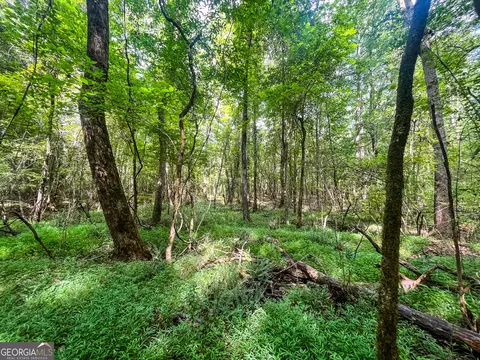 0 W Point Rd, Lagrange, GA 30240 photo 21