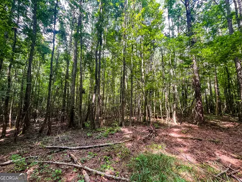 0 W Point Rd, Lagrange, GA 30240 photo 17