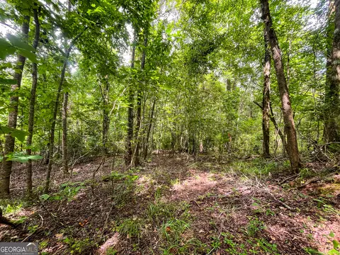 0 W Point Rd, Lagrange, GA 30240 photo 14