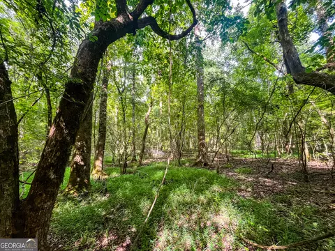 0 W Point Rd, Lagrange, GA 30240 photo 31