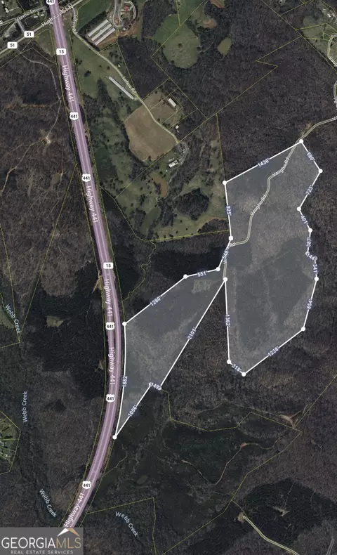 0 Highway 441, Homer, GA 30547