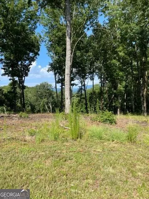 119 Highland Park, Blairsville, GA 30512