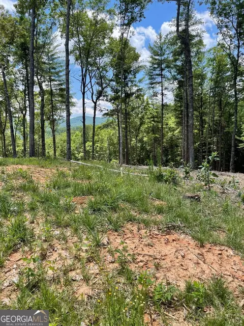 lot95 The Rdgs, Morganton, GA 30560