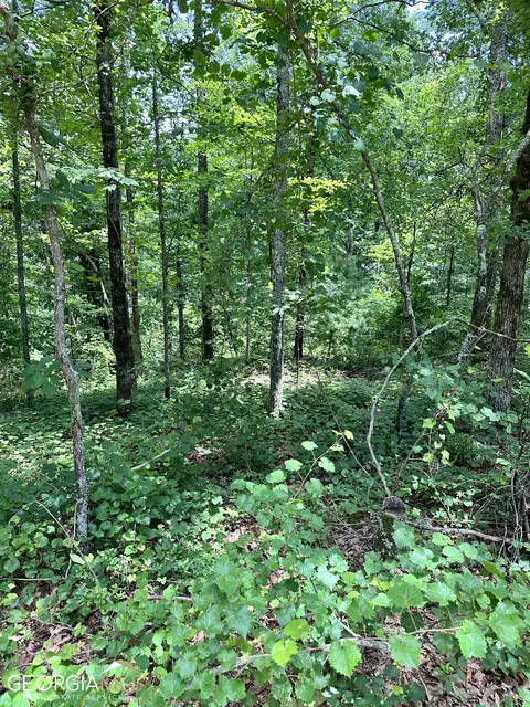 Lt1719 Rebekah Ridge Road, Talking Rock, GA 30175