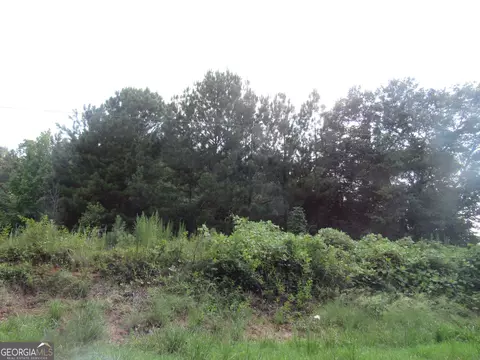0 Stone Bridge Rd, Carnesville, GA 30521 photo 2