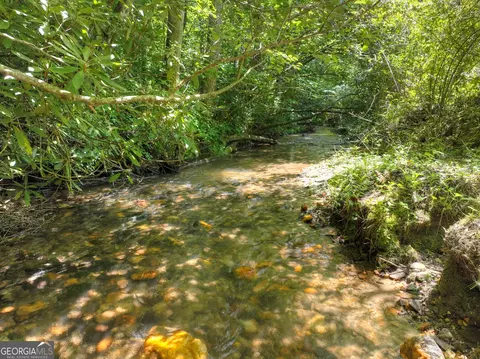 3760 Devils Den Rd, Epworth, GA 30541 photo 6
