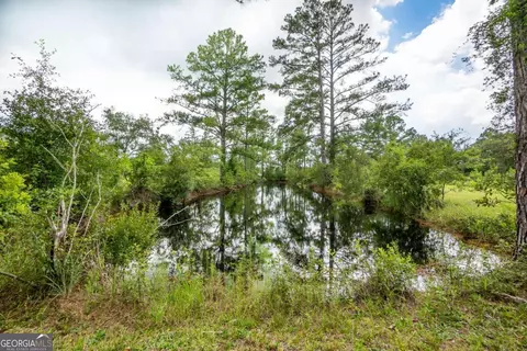 View/Area - 16192 Raybon Rd E, Nahunta, GA 31553 photo 3 of 3