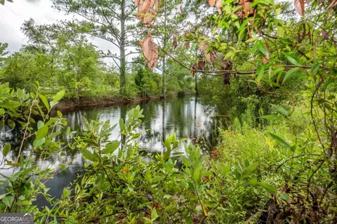 View/Area - 16192 Raybon Rd E, Nahunta, GA 31553 photo 2 of 3