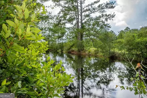 View/Area - 16192 Raybon Rd E, Nahunta, GA 31553 photo 1 of 3