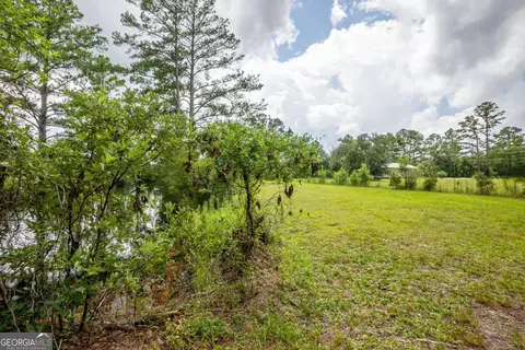 Other - 16192 Raybon Rd E, Nahunta, GA 31553 photo 5 of 8