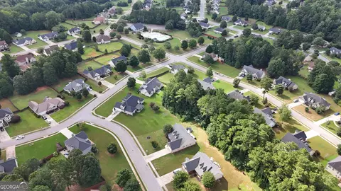 View/Area - 101 Crestwood Ct, Hampton, GA 30228 photo 8 of 8