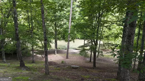 View/Area - Undisclosed, Demorest, GA 30535 photo 3 of 5