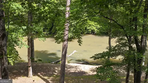 View/Area - Undisclosed, Demorest, GA 30535 photo 2 of 5