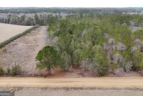 0 Ben Grady Collins Rd, Statesboro, GA 30458