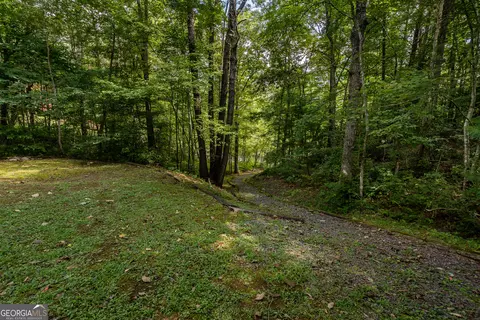 398 Beaver Cove Rd, Turtletown, TN 37391