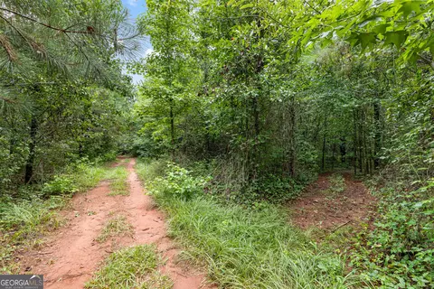 Other - 84 Maple Ln, Williamson, GA 30292 photo 10 of 13