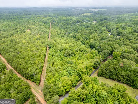 0 Zellner Rd, Forsyth, GA 31029 photo 6