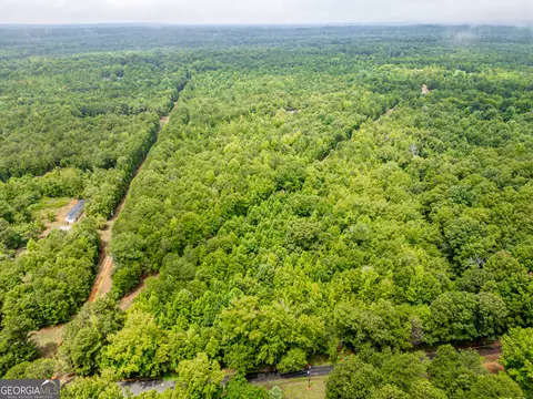 0 Zellner Rd, Forsyth, GA 31029 photo 5