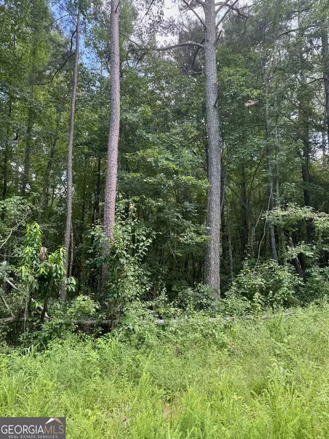0 Cherokee Ln, Buchanan, GA 30113
