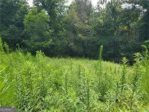Other - 385 Mcclain Mountain Rd, Jasper, GA 30143 photo 32 of 38