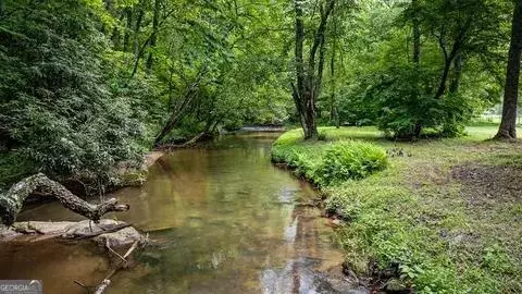Lt 1 Newberry Drive, Mineral Bluff, GA 30559