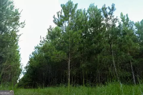 0 Newman Smith Rd, Bartow, GA 30413 photo 14