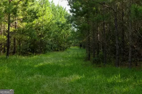 0 Newman Smith Rd, Bartow, GA 30413 photo 15