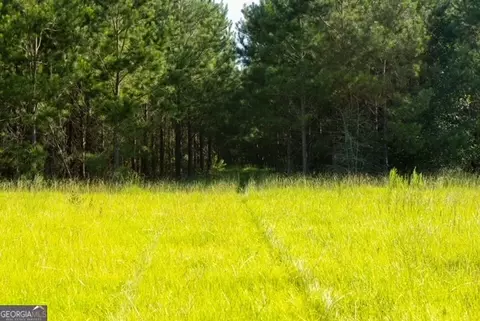 0 Newman Smith Rd, Bartow, GA 30413 photo 13