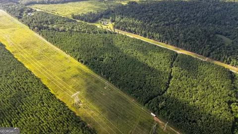 0 Newman Smith Rd, Bartow, GA 30413 photo 8