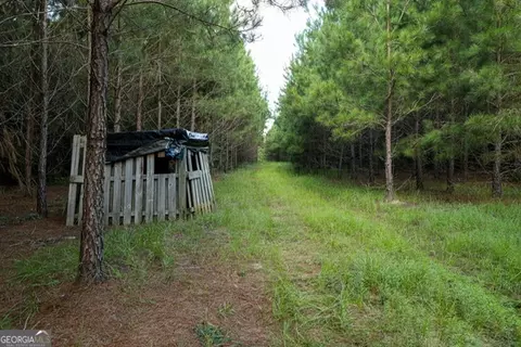 0 Newman Smith Rd, Bartow, GA 30413 photo 16