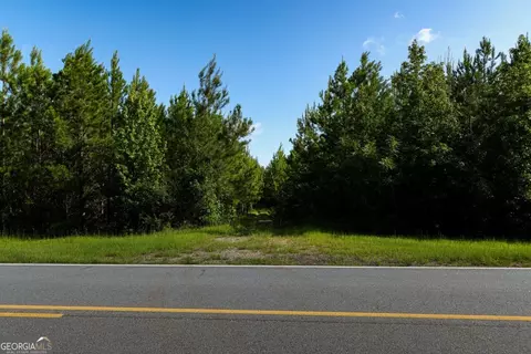 0 Newman Smith Rd, Bartow, GA 30413 photo 20