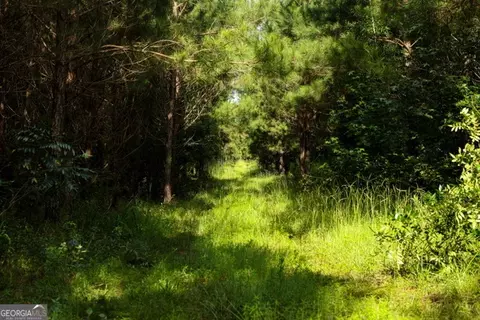 0 Newman Smith Rd, Bartow, GA 30413 photo 17