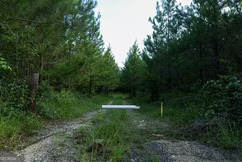 0 Newman Smith Rd, Bartow, GA 30413 photo 19