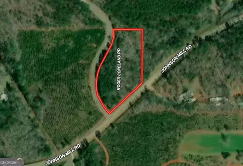 2 03 Ac Johnson Mill Rd, Hamilton, GA 31811