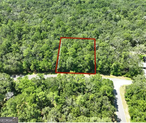 lot50 Tar Flower Trl, Waverly, GA 31565