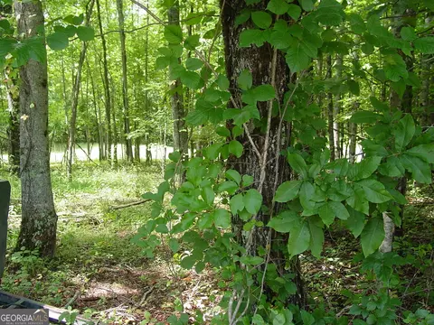 13 Dan Knob Drive, Hayesville, NC 28904