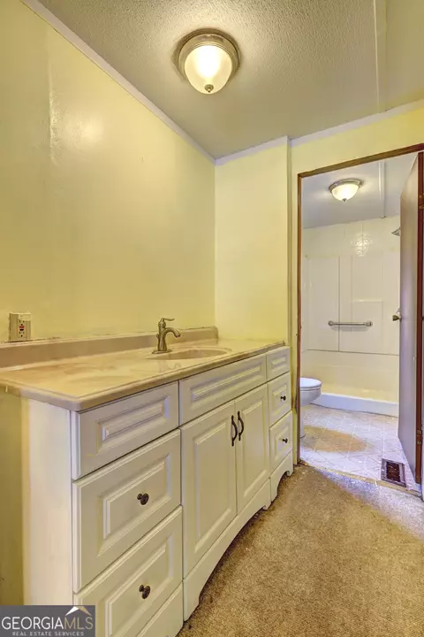 Bath - 231 Norfolk Dr, Hampton, GA 30228 photo 4 of 5