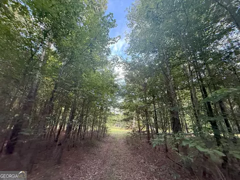 4 Bunch Rd, Tignall, GA 30668 photo 9