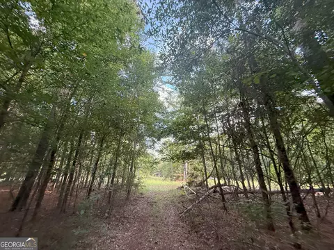 4 Bunch Rd, Tignall, GA 30668 photo 8