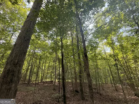 4 Bunch Rd, Tignall, GA 30668 photo 20