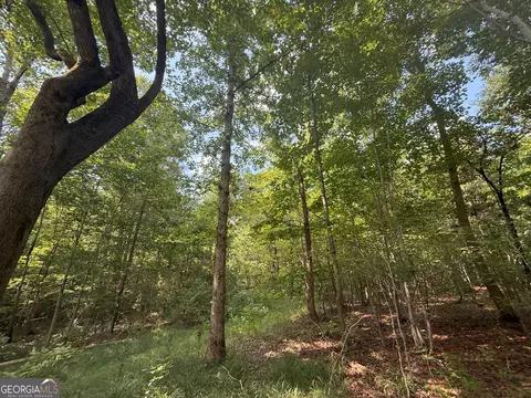 4 Bunch Rd, Tignall, GA 30668 photo 22