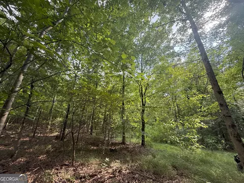 4 Bunch Rd, Tignall, GA 30668 photo 19