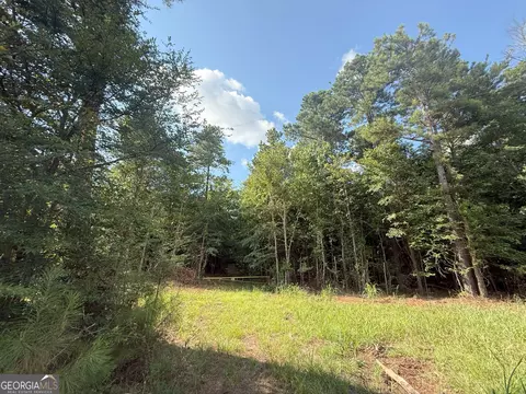 4 Bunch Rd, Tignall, GA 30668 photo 27