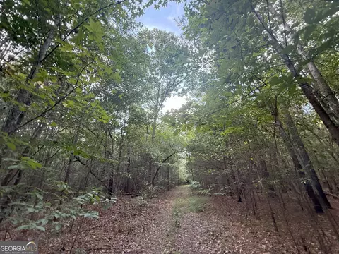 4 Bunch Rd, Tignall, GA 30668 photo 7