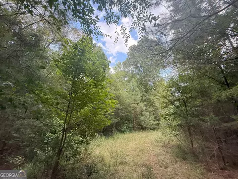 4 Bunch Rd, Tignall, GA 30668 photo 12